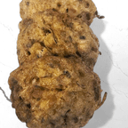 Best House Special Egg Foo Young in New Berlin, WI