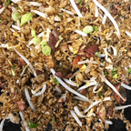 Best Pork Fried Rice in New Berlin, WI