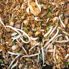 Best Chef's Special Fried Rice in New Berlin, WI